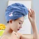 Premium Hair Drying Towel ( 1 pcs )